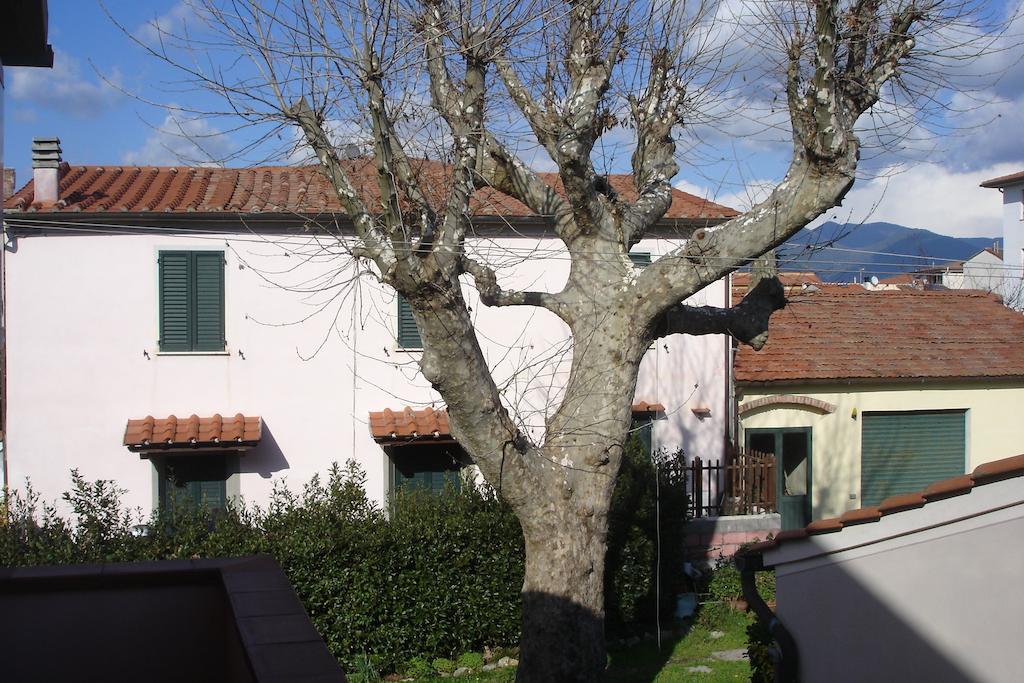 La Corte Daire Pisa Dış mekan fotoğraf